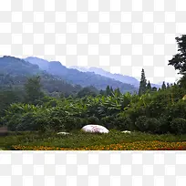 ���ɽ������Ӱ-������