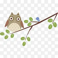 可爱猫头鹰-空若网 可爱猫头鹰-空若网