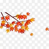 ��Ҷ-������