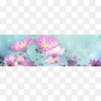 鸟语花香爱情浪漫背景-空若网 鸟语花香爱情浪漫背景-空若网