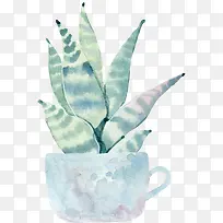 水彩花卉绿色植物仙人掌-空若网 水彩花卉绿色植物仙人掌-空若网