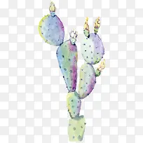 水彩花卉绿色植物仙人掌-空若网 水彩花卉绿色植物仙人掌-空若网