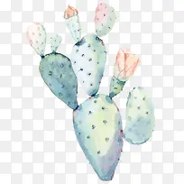 Ë®²Ê»¨»ÜÂÌɫֲÎïÏÉÈËÕÆ-¿ÕÈôÍø Ë®²Ê»¨»ÜÂÌɫֲÎïÏÉÈËÕÆ-¿ÕÈôÍø