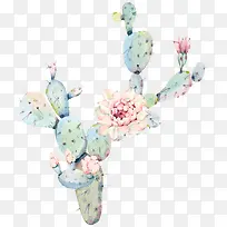 ˮ�ʻ���������ֲ��-������