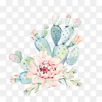 手绘水彩花卉绿色植物仙人掌-空若网 手绘水彩花卉绿色植物仙人掌-空若网