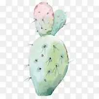 水彩花卉仙人掌植物-空若网 水彩花卉仙人掌植物-空若网