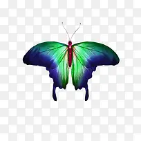 À¶×ÏÉ«ºûµû-¿ÕÈôÍø À¶×ÏÉ«ºûµû-¿ÕÈôÍø