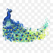 高贵孔雀水彩画免抠素材-空若网 高贵孔雀水彩画免抠素材-空若网