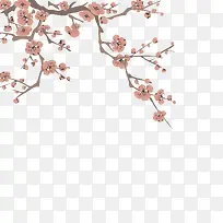 ÷����֦-������