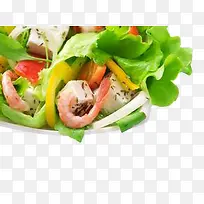 沙拉-空若网 沙拉-空若网