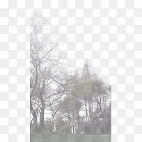 ��֦������������-������