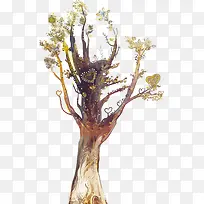 卡通手绘树-空若网 卡通手绘树-空若网