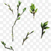 手绘树枝-空若网 手绘树枝-空若网