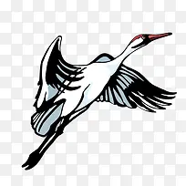 矢量鸟类-空若网 矢量鸟类-空若网