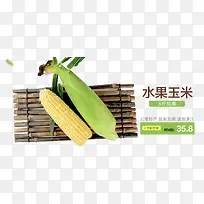 玉米-空若网 玉米-空若网