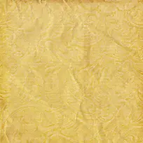 ŷʽ���Ʊ���-������