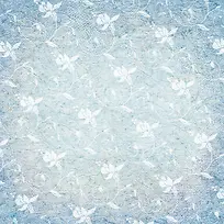 ���Ʊ���-������