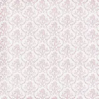 ���Ż��Ʊ���-������