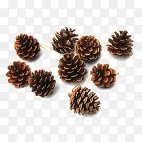 Ê¥µ®½Ú¹Ò¼þ-¿ÕÈôÍø Ê¥µ®½Ú¹Ò¼þ-¿ÕÈôÍø