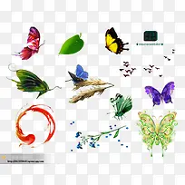 各式彩色蝴蝶手绘-空若网 各式彩色蝴蝶手绘-空若网