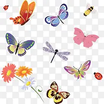 蝶翅类昆虫素材-空若网 蝶翅类昆虫素材-空若网