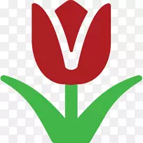 �������ֶ�����ֽ�������-������-������