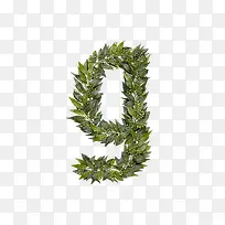 绿叶字母g-空若网 绿叶字母g-空若网