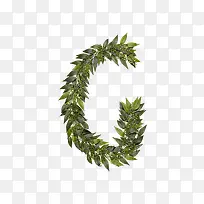 绿叶字母g-空若网 绿叶字母g-空若网