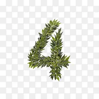 绿叶字母4-空若网 绿叶字母4-空若网