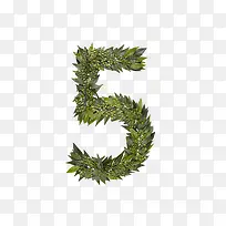 ��Ҷ��ĸ����5-������