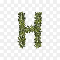 ��Ҷ��ĸh-������