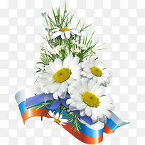 白色的菊花-空若网 白色的菊花-空若网