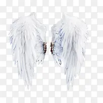 ��ɫ�ĳ���ز�ͼƬ-������