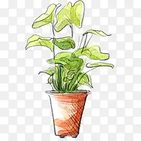 卡通手绘绿色清新花盆-空若网 卡通手绘绿色清新花盆-空若网
