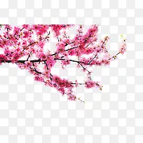 ÷��-������