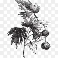 ʸ���ֻ滨��-������