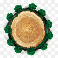树年轮-空若网 树年轮-空若网