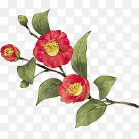 ��ͨ�ֻ��ɫ����-������