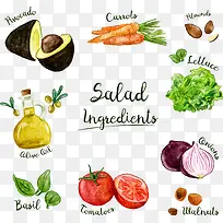 沙拉手绘蔬菜-空若网 沙拉手绘蔬菜-空若网