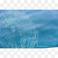 蓝色蜘蛛网织网背景-空若网 蓝色蜘蛛网织网背景-空若网