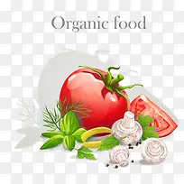 新鲜营养蔬菜矢量素材-空若网 新鲜营养蔬菜矢量素材-空若网