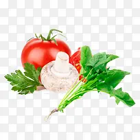 �߲�����������Ģ��-������