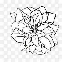 手绘花朵-空若网 手绘花朵-空若网