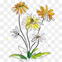 黄色野菊花png矢量素材-空若网 黄色野菊花png矢量素材-空若网