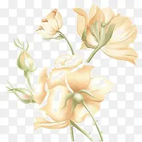 ����õ��-������