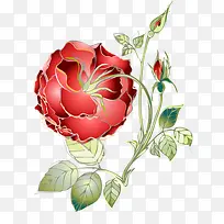 手绘月季花-空若网 手绘月季花-空若网