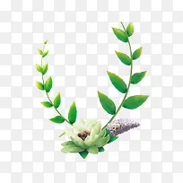 绿叶盛开的绿色花-空若网 绿叶盛开的绿色花-空若网