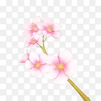 �ֻ��ɫ����-������