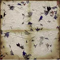 紫色花叶背景-空若网 紫色花叶背景-空若网