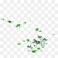 小草-空若网 小草-空若网